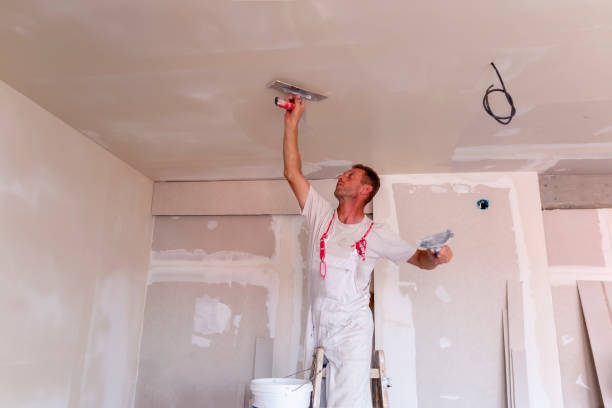 Reliable La Verkin, UT Dry wall and painting Solutions